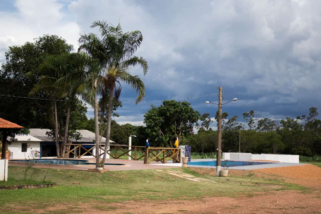 Miniatura 12