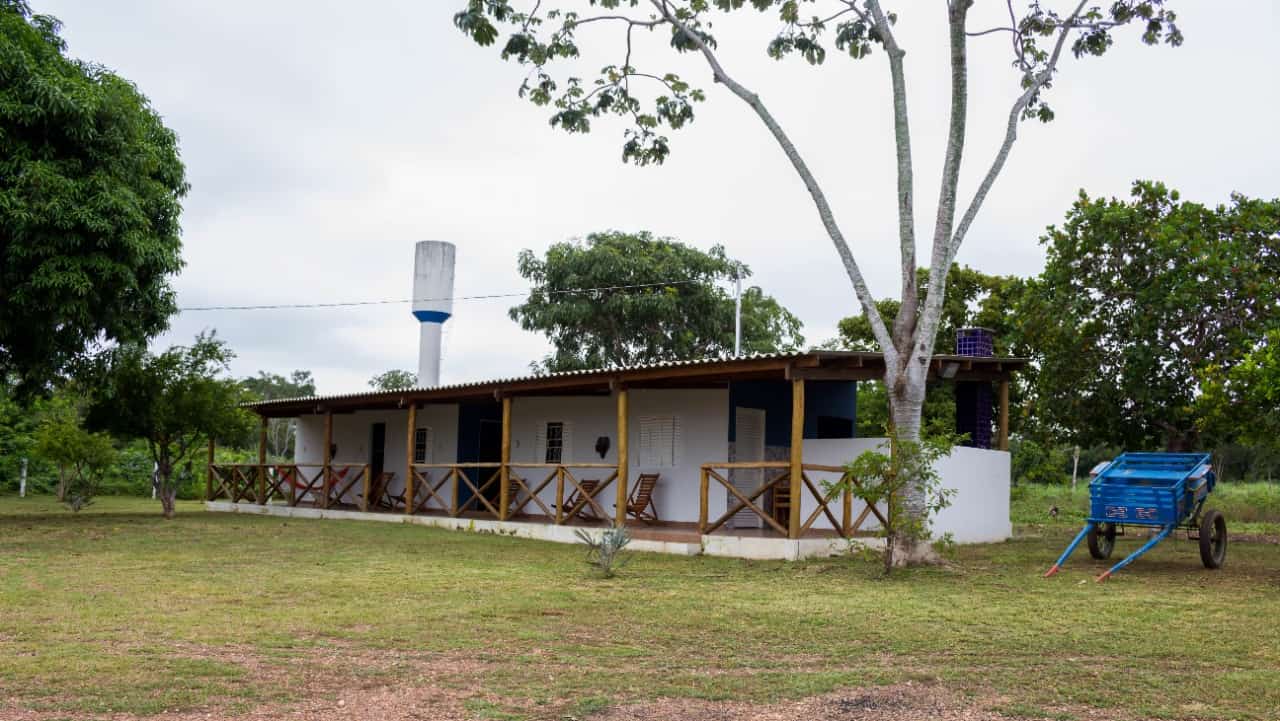 Miniatura 25