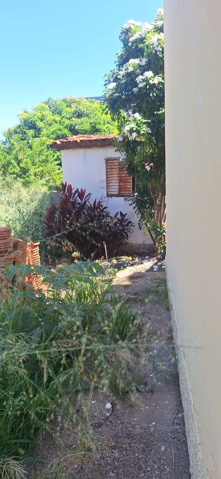 Miniatura 28