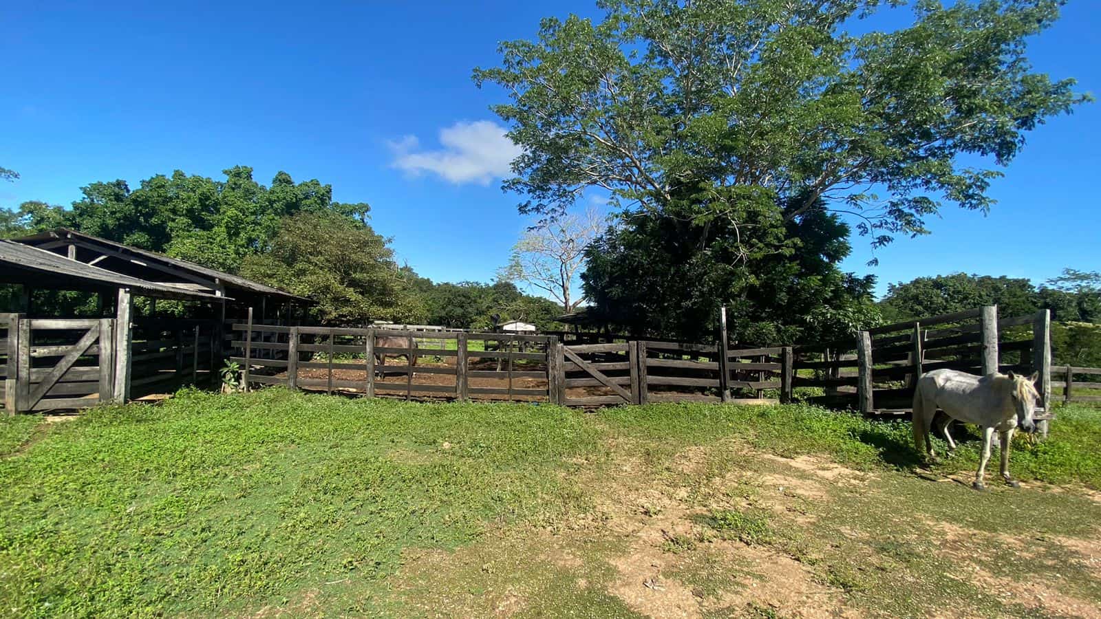 Sitio Para Confinamento - Haras
